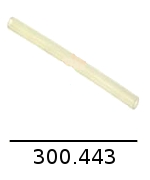 300443